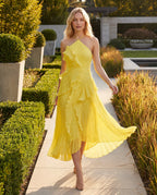 Halter Neck Pleated Ruffle Layered  Maxi Dress